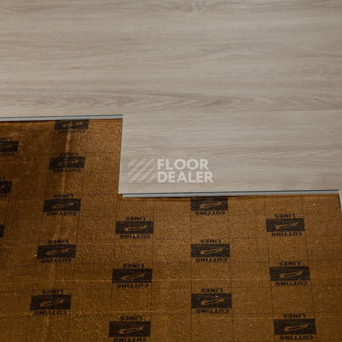 Tarkett Funky House GUSTO фото 10 | FLOORDEALER